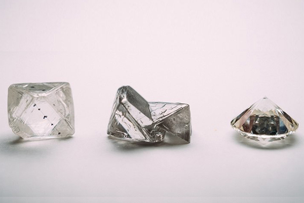 gia tracr shareholding