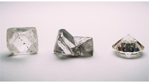gia_tracr_shareholding