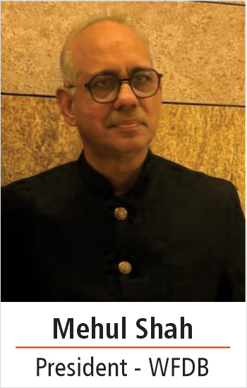 Mehul Shah Lab Diamond